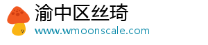 渝中区丝琦网络科技工作室（个体工商户）